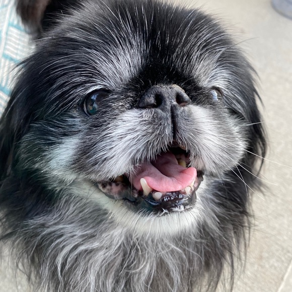 Meet your Posher, Melanie - Picture 7 of 16